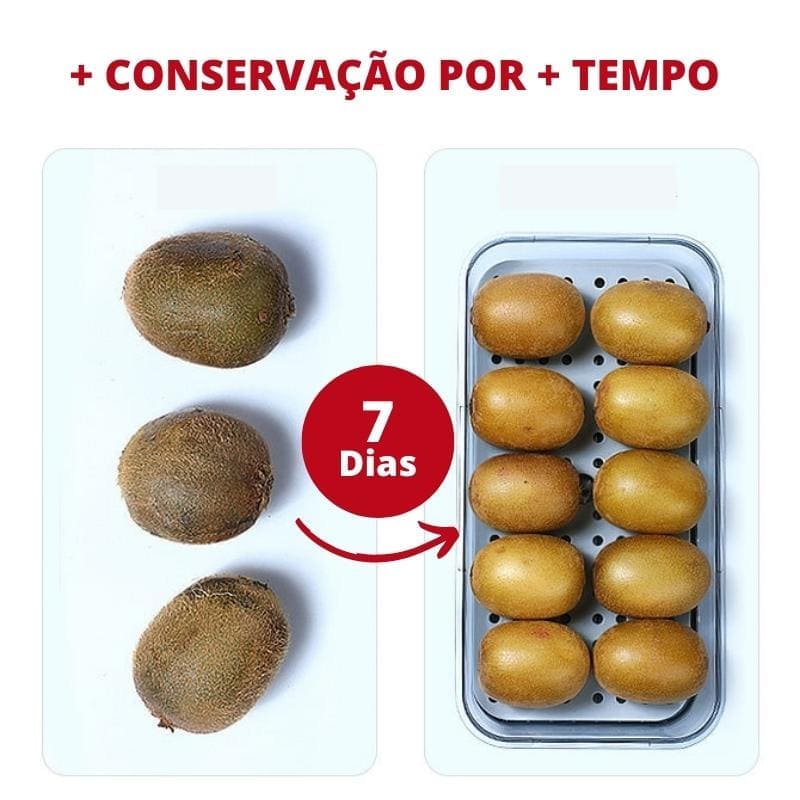 Organizador de Geladeira com Tampa e Marcador de Data - Casa Elège