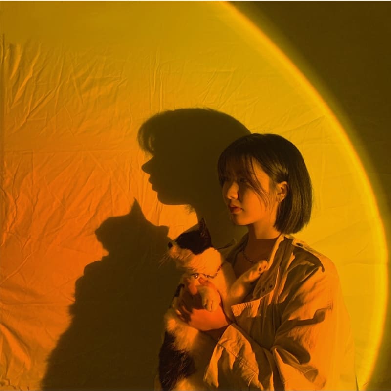 Projetor De Luz LED 4 Em 1 Giratório 360 Graus Ambiente - Casa Elège
