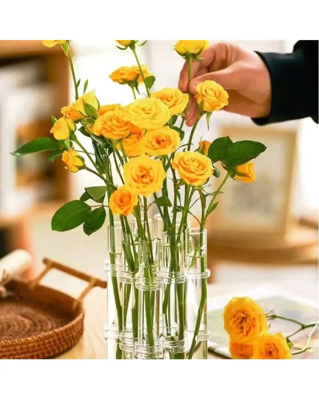 Vaso Suspenso de Vidro Tubular Elegante - Kit 4 ou 6 Unidades - Casa Elège